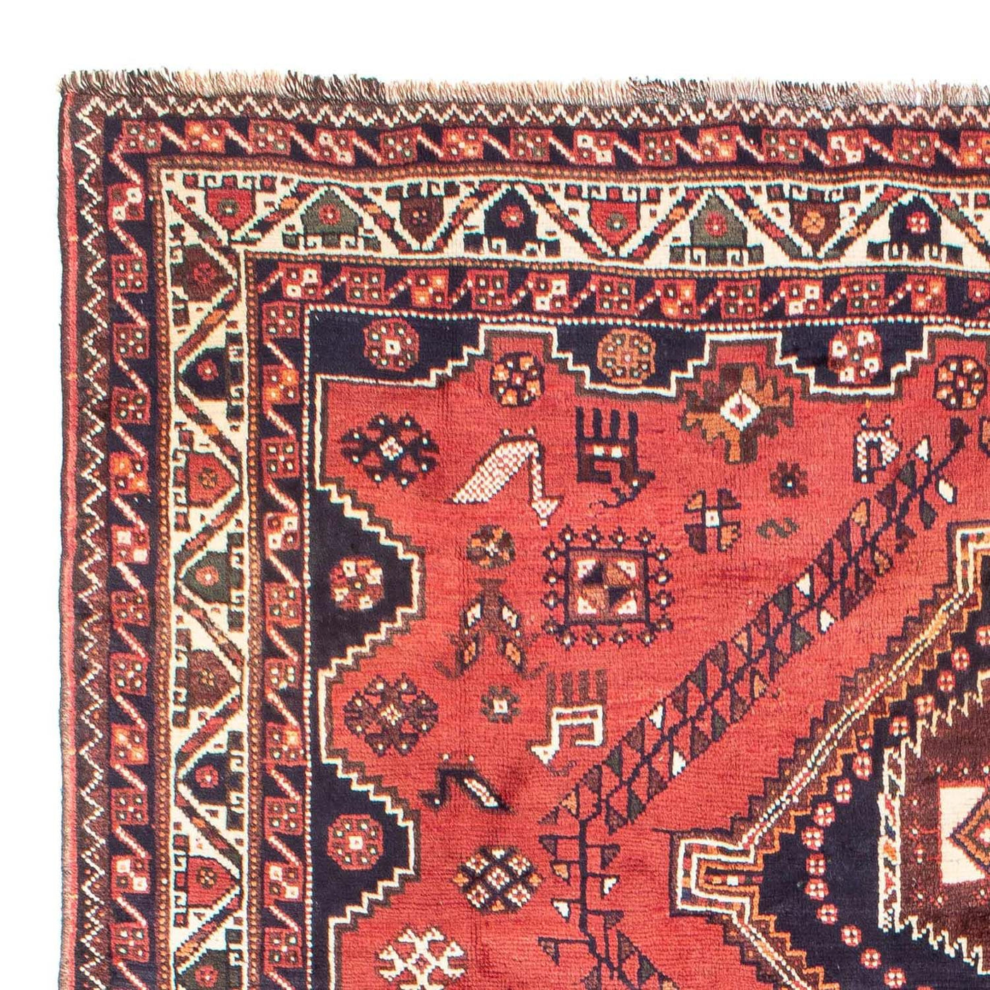 Shiraz Dywan 300x217cm - Dywan perski