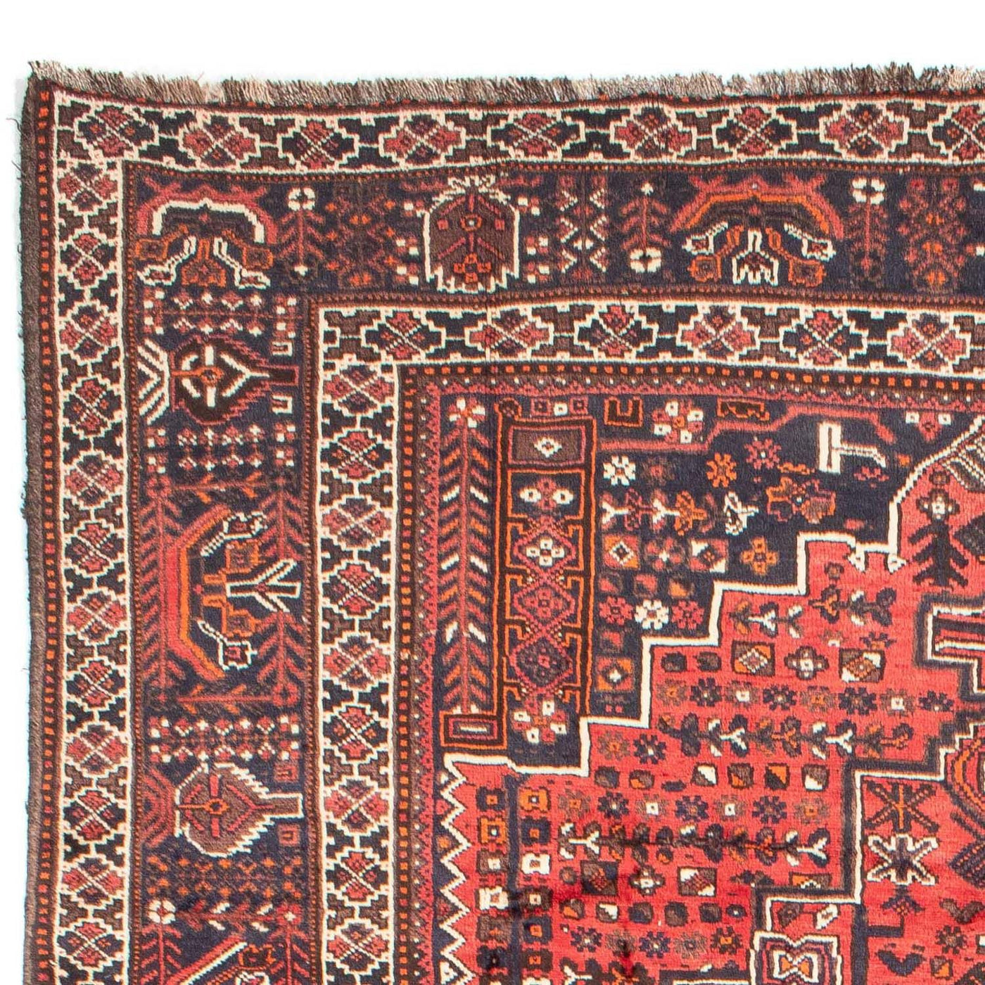 Shiraz Dywan 295x218cm - Dywan perski
