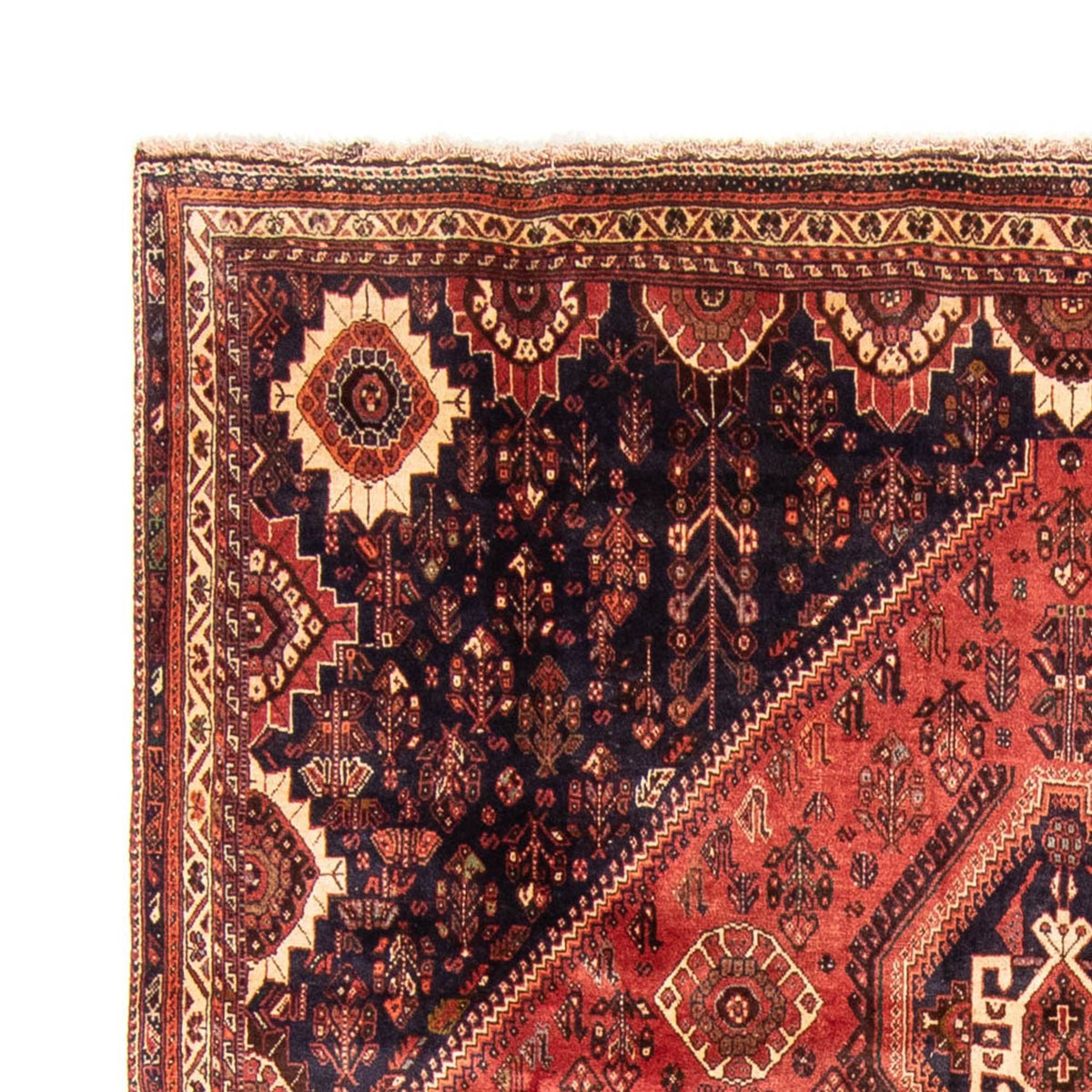 Qashqai Dywan 221x330cm - Dywan perski