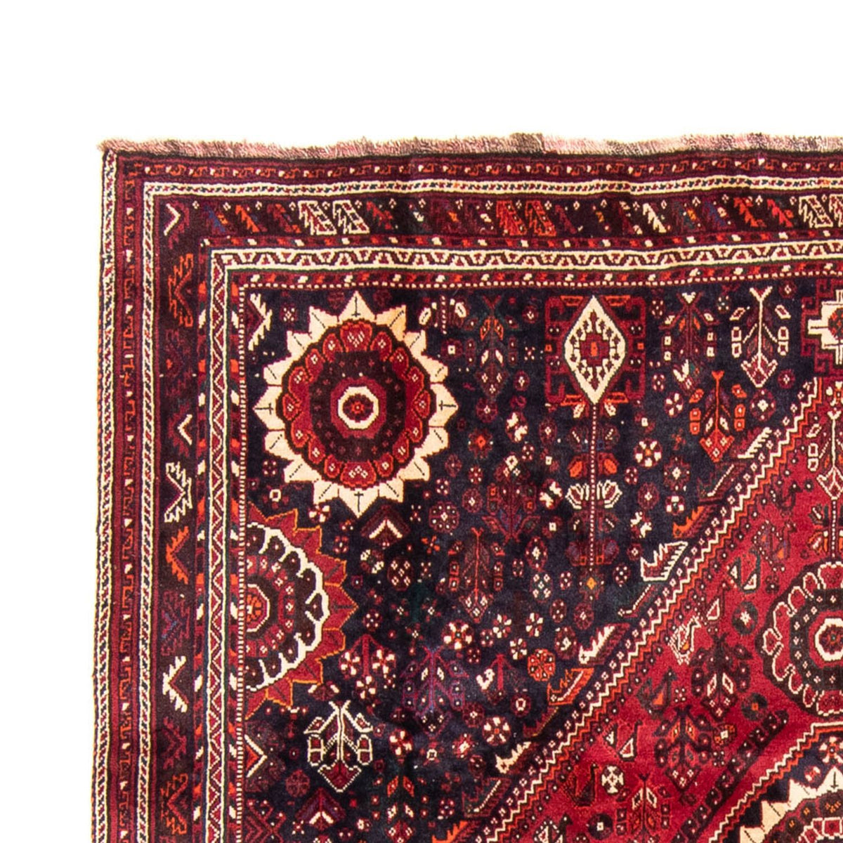 Shiraz Dywan 230x315cm - Dywan perski