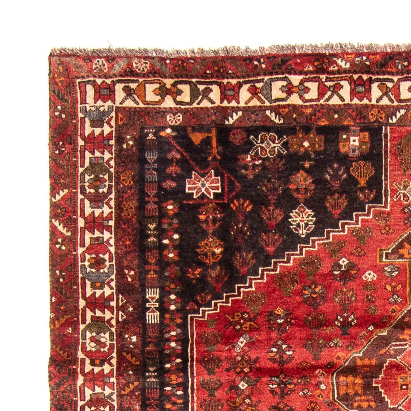 Shiraz Dywan 310x225cm - Dywan perski