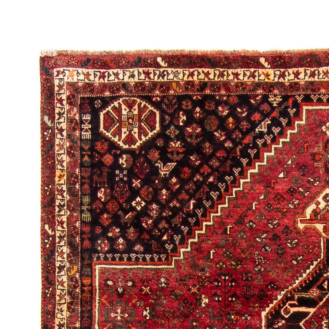 Shiraz Dywan 325x230cm - Dywan perski