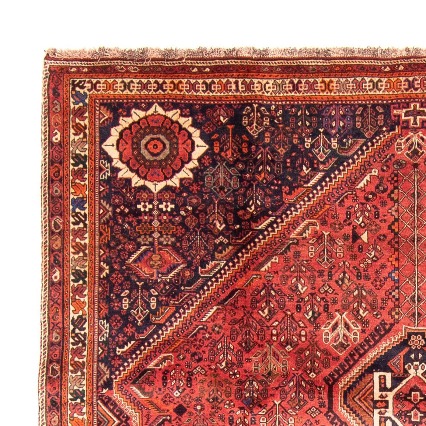 Qashqai Dywan 315x220cm - Dywan perski