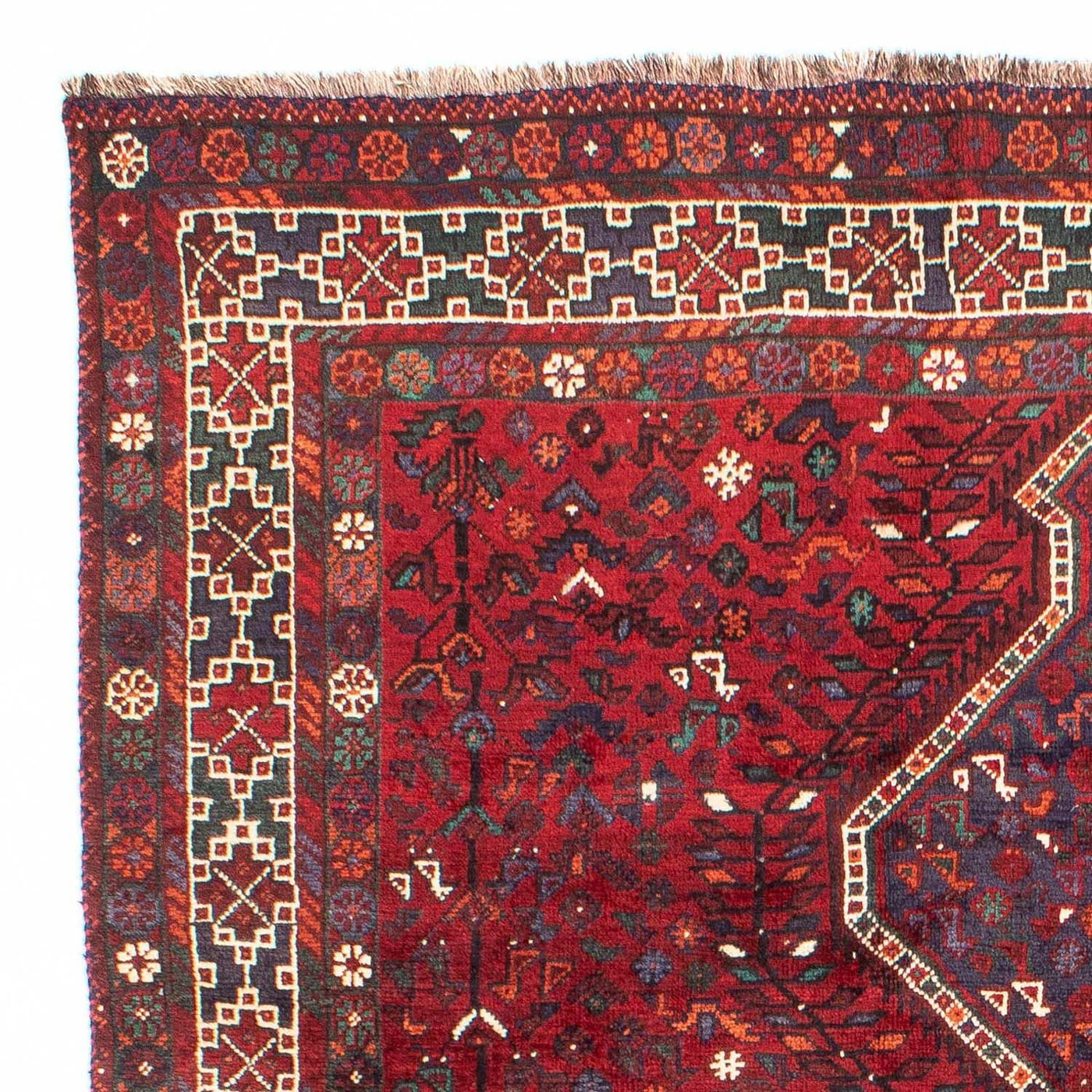 Shiraz Dywan 300x208cm - Dywan perski