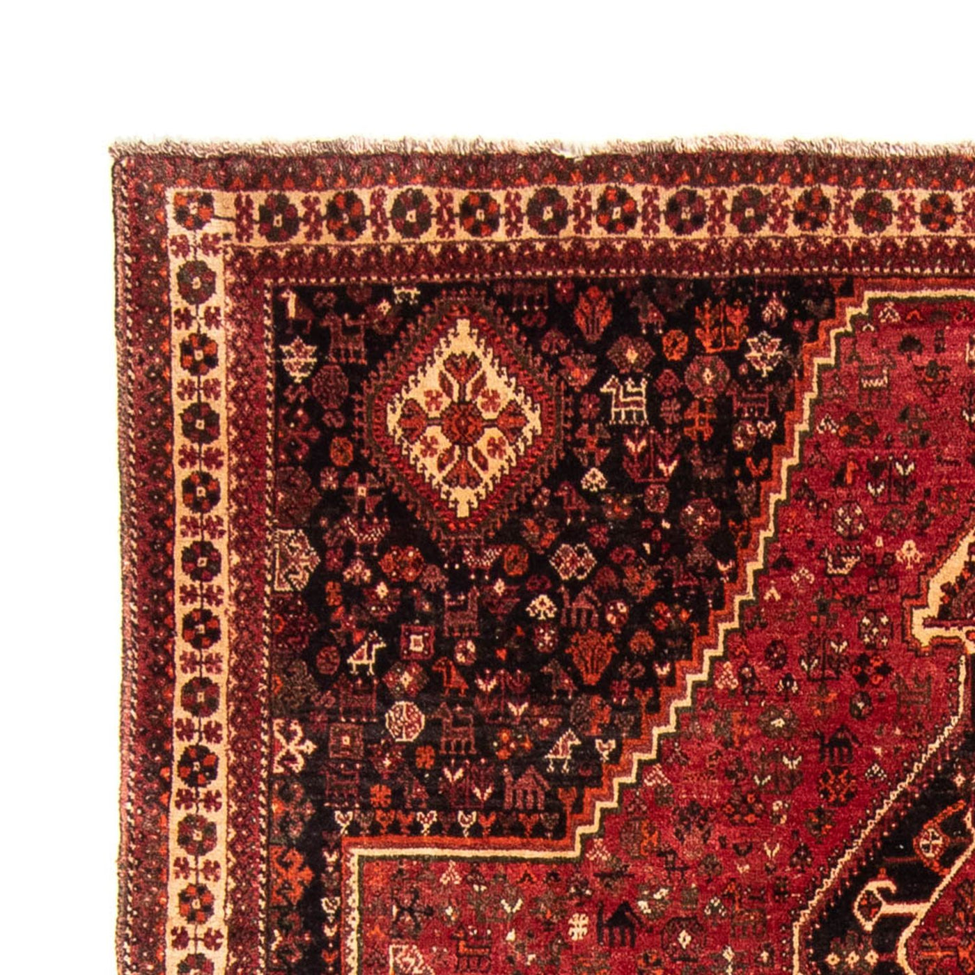 Qashqai Dywan 320x230cm - Dywan perski