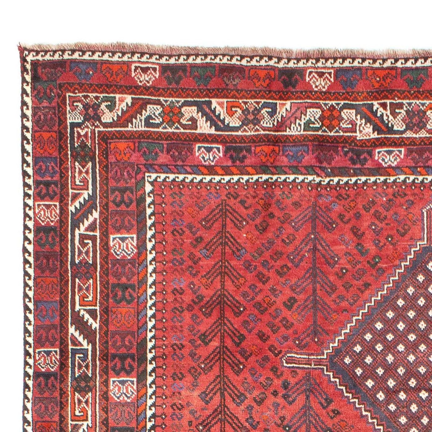 Shiraz Dywan 310x215cm - Dywan perski