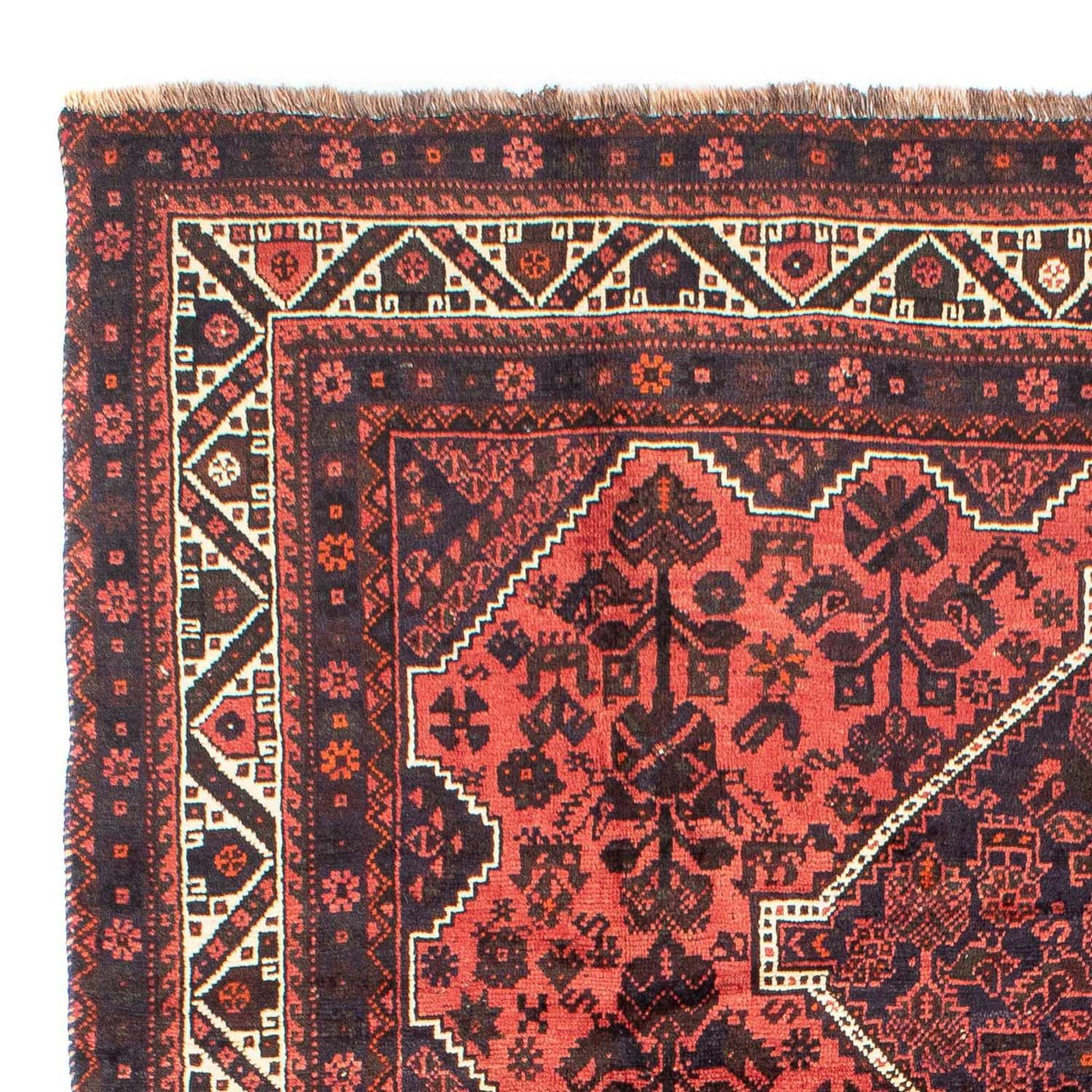 Shiraz Dywan 300x207cm - Dywan perski