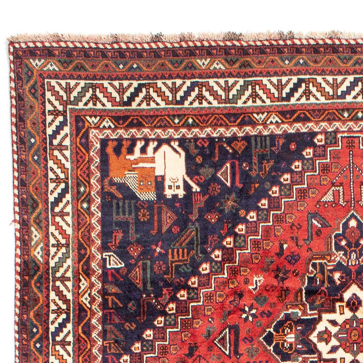 Qashqai Dywan 230x318cm - Dywan perski