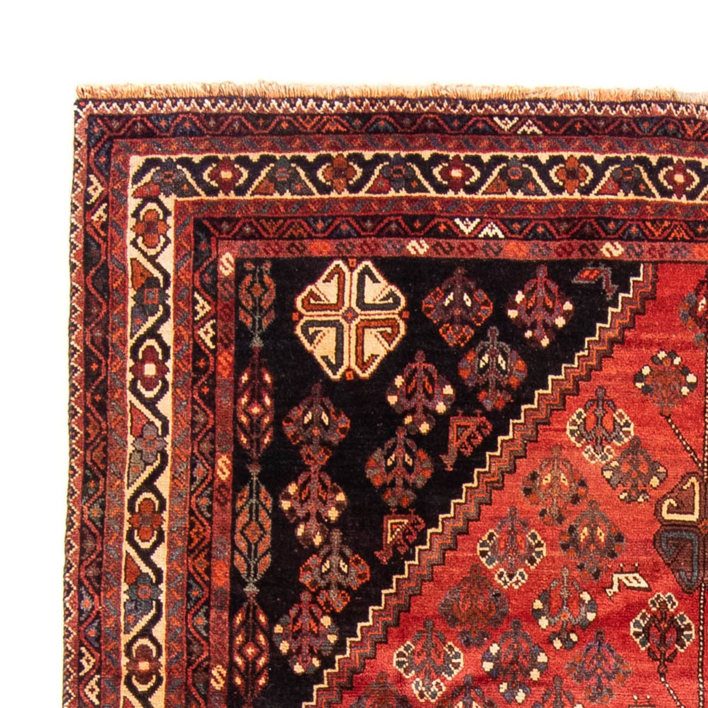 Shiraz Dywan 323x235cm - Dywan perski