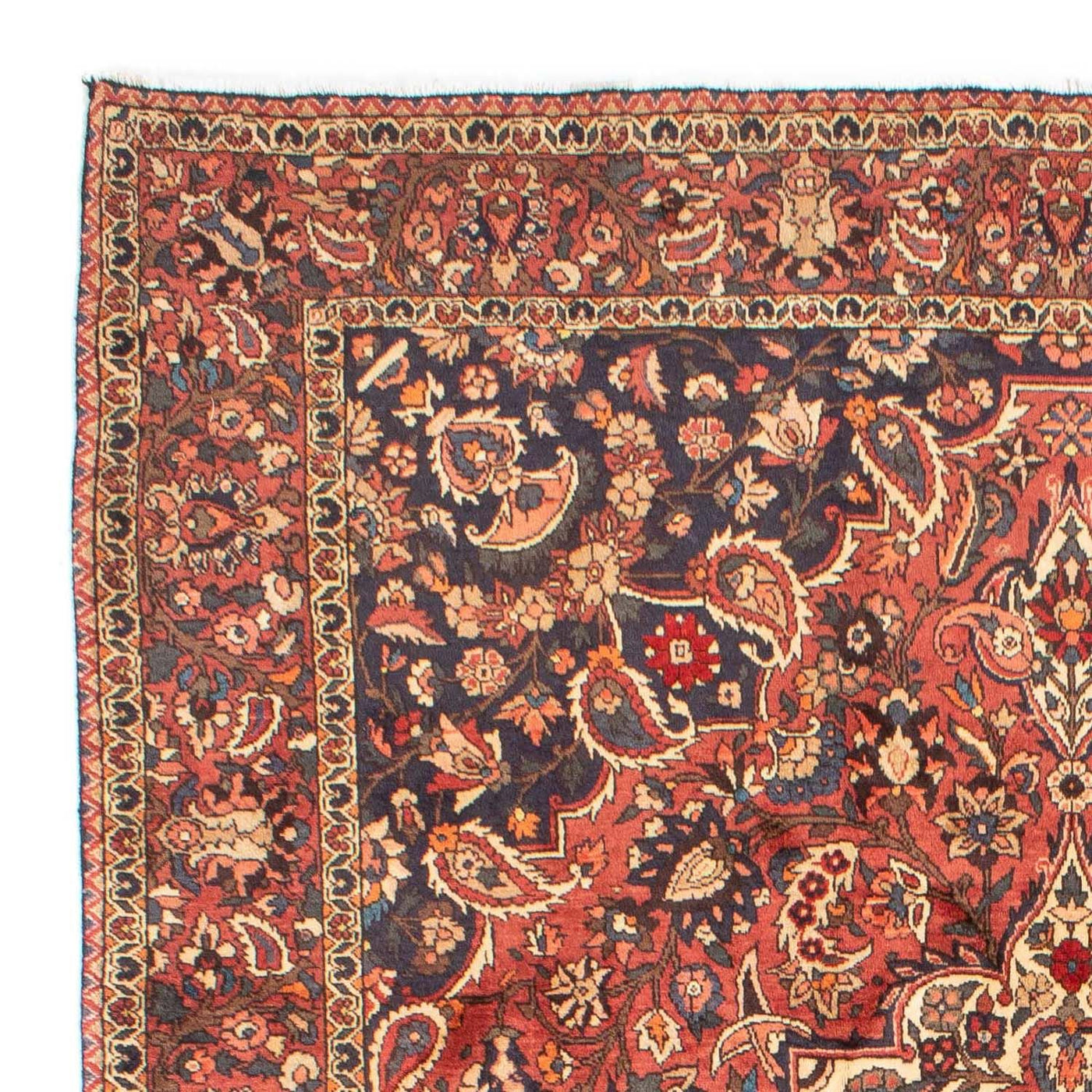 Bakhtiari Dywan 313x204cm - Dywan perski