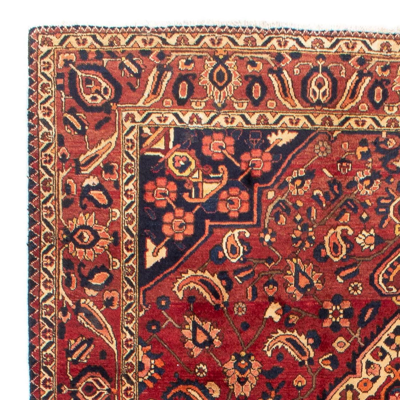 Bakhtiari Dywan 318x211cm - Dywan perski