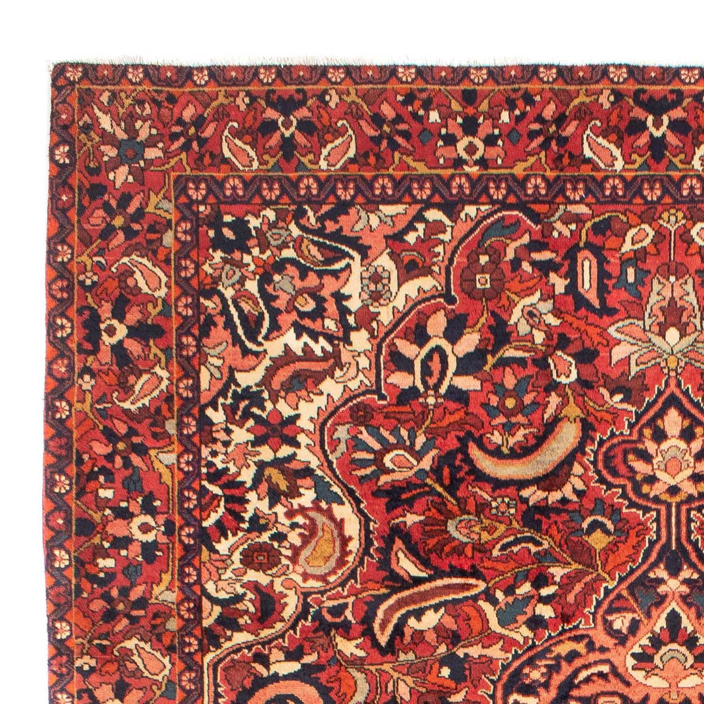 Bakhtiari Dywan 313x213cm - Dywan perski
