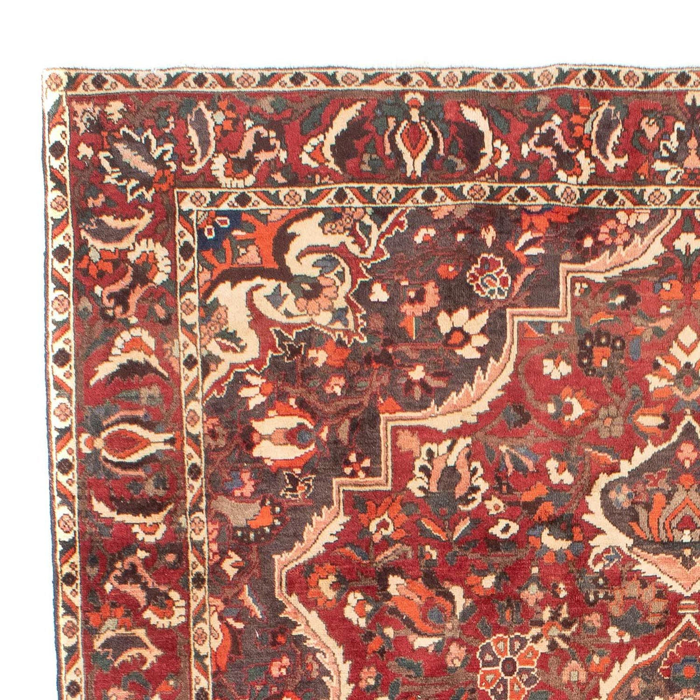 Bakhtiari Dywan 294x205cm - Dywan perski