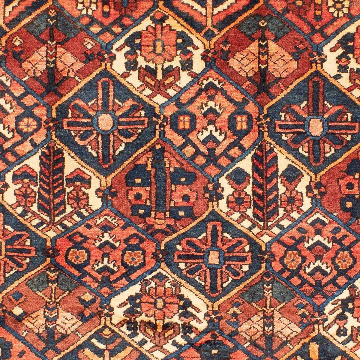 Perski dywan - Nomadyczny - 313 x 209 cm - jasna czerwień