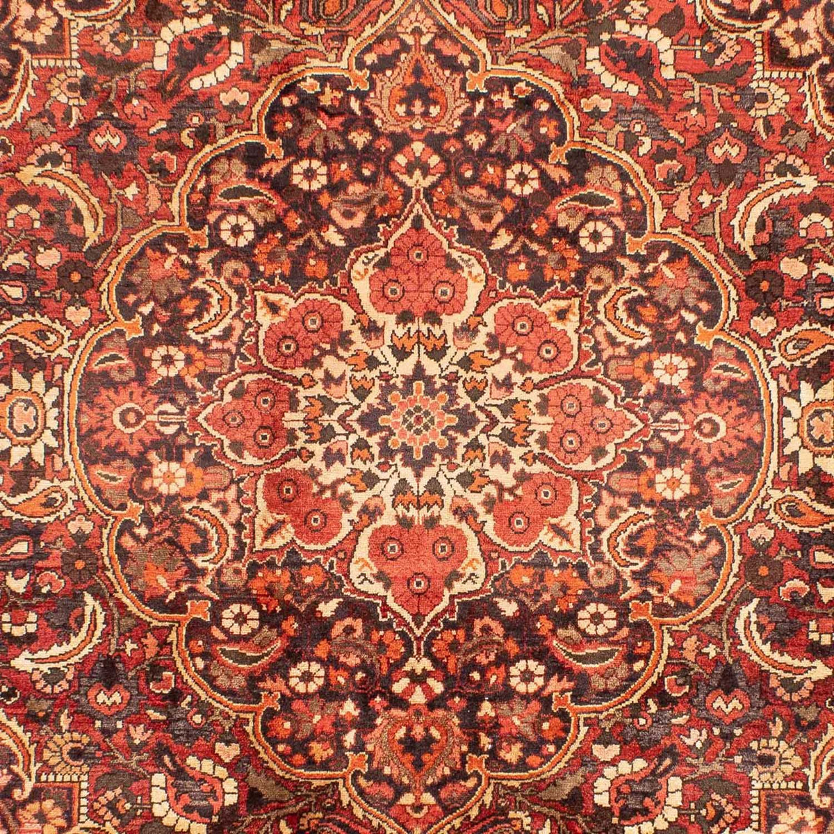 Perski dywan - Nomadyczny - 297 x 224 cm - czerwony