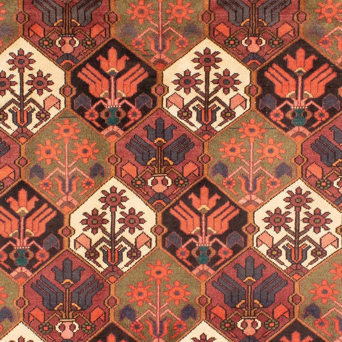 Perski dywan - Nomadyczny - 287 x 207 cm - brązowy