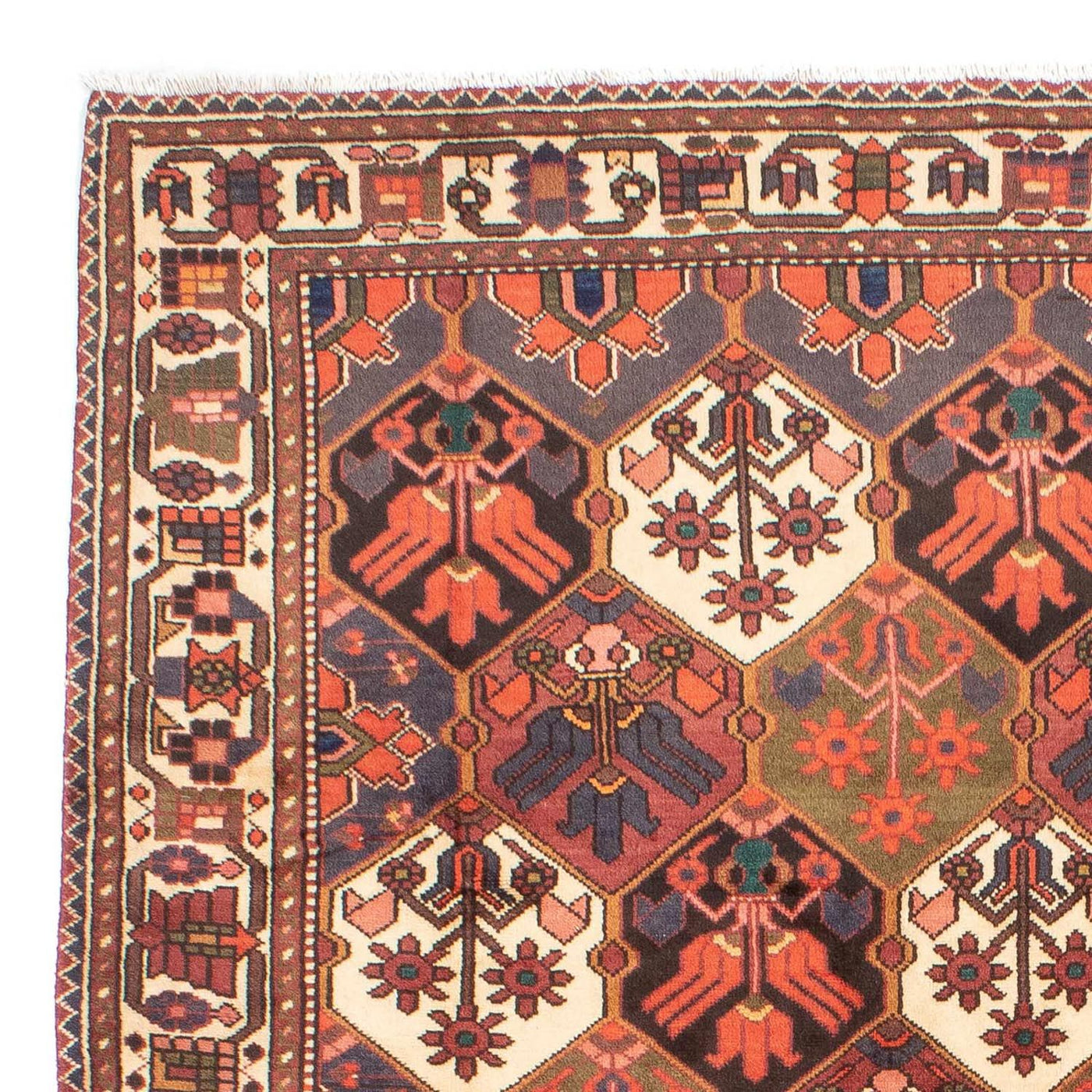 Bakhtiari Dywan 287x207cm - Dywan perski
