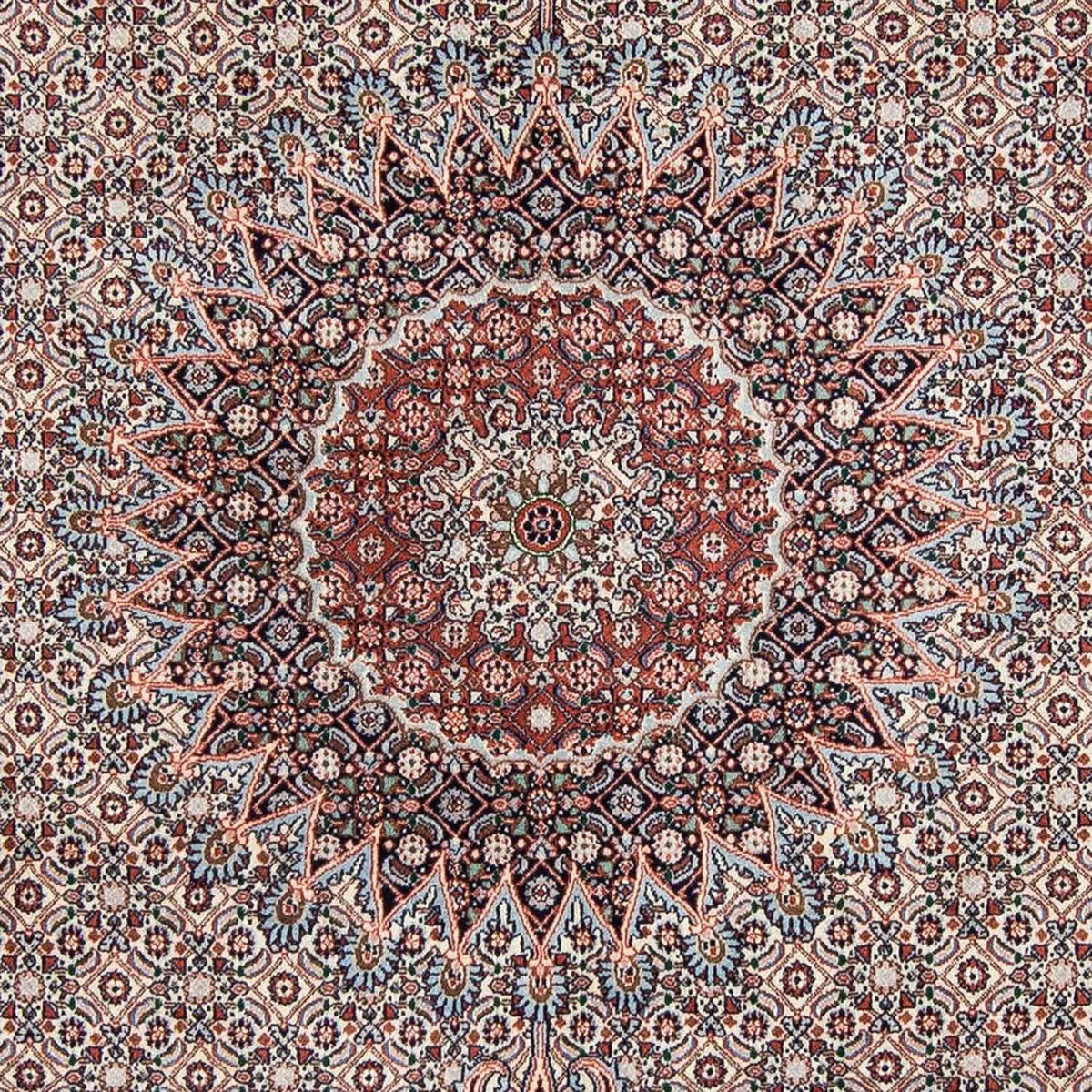 Dywan perski - Klasyczny - 272 x 215 cm - beżowy