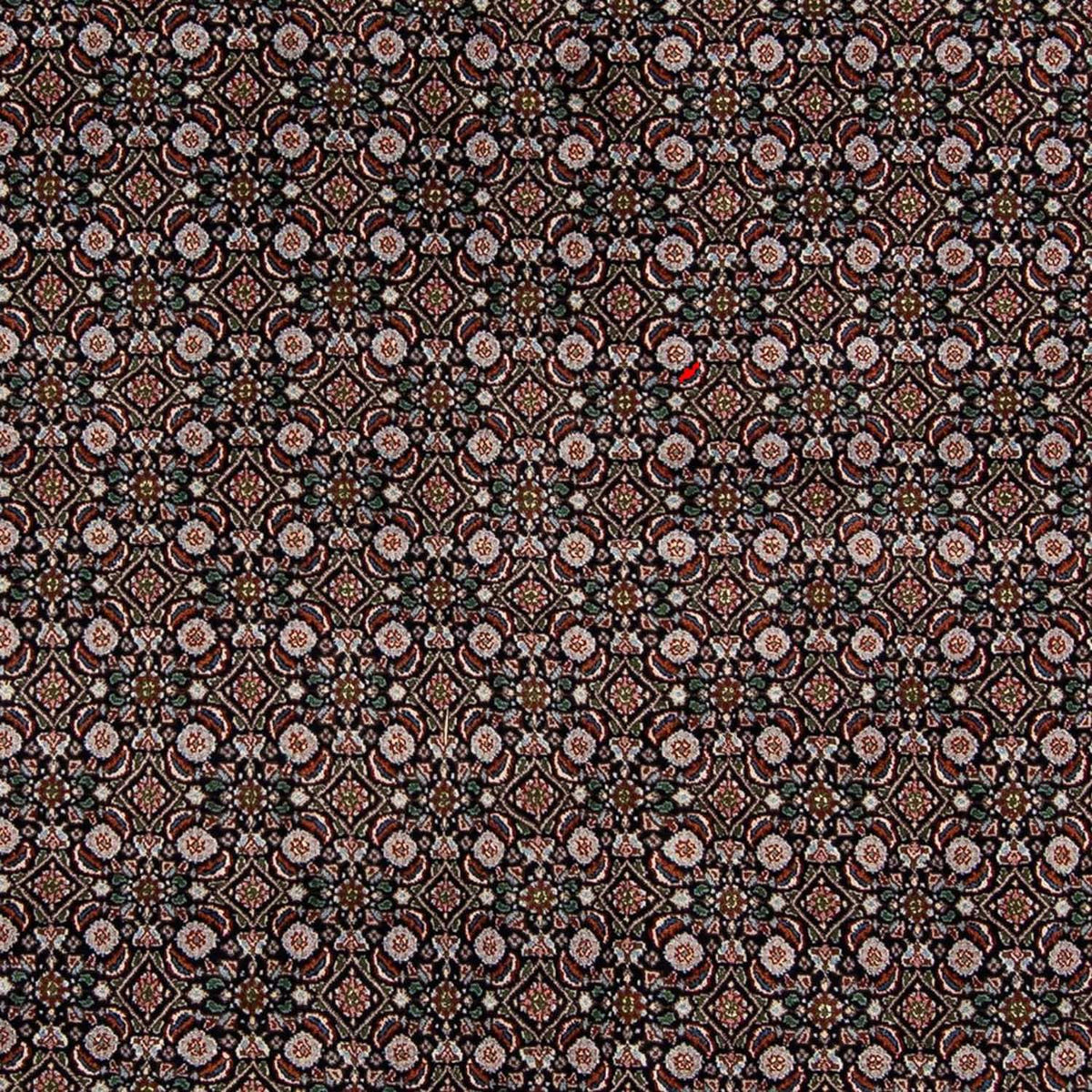 Dywan perski - Klasyczny - 295 x 192 cm - ciemnoniebieski