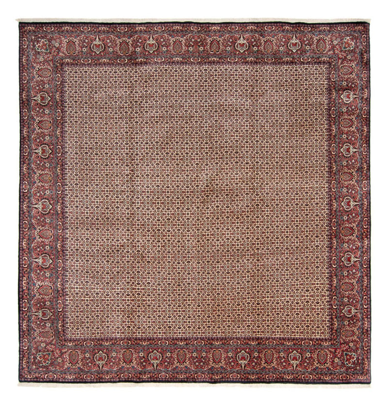Perski dywan - Bijar - Royal kwadratowy  - 366 x 348 cm - beżowy