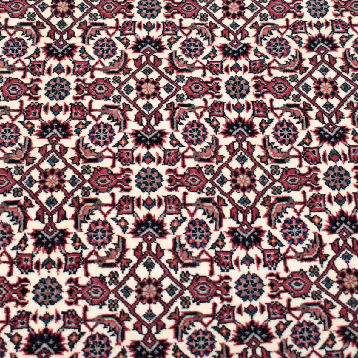 Perski dywan - Bijar - Royal kwadratowy  - 366 x 348 cm - beżowy