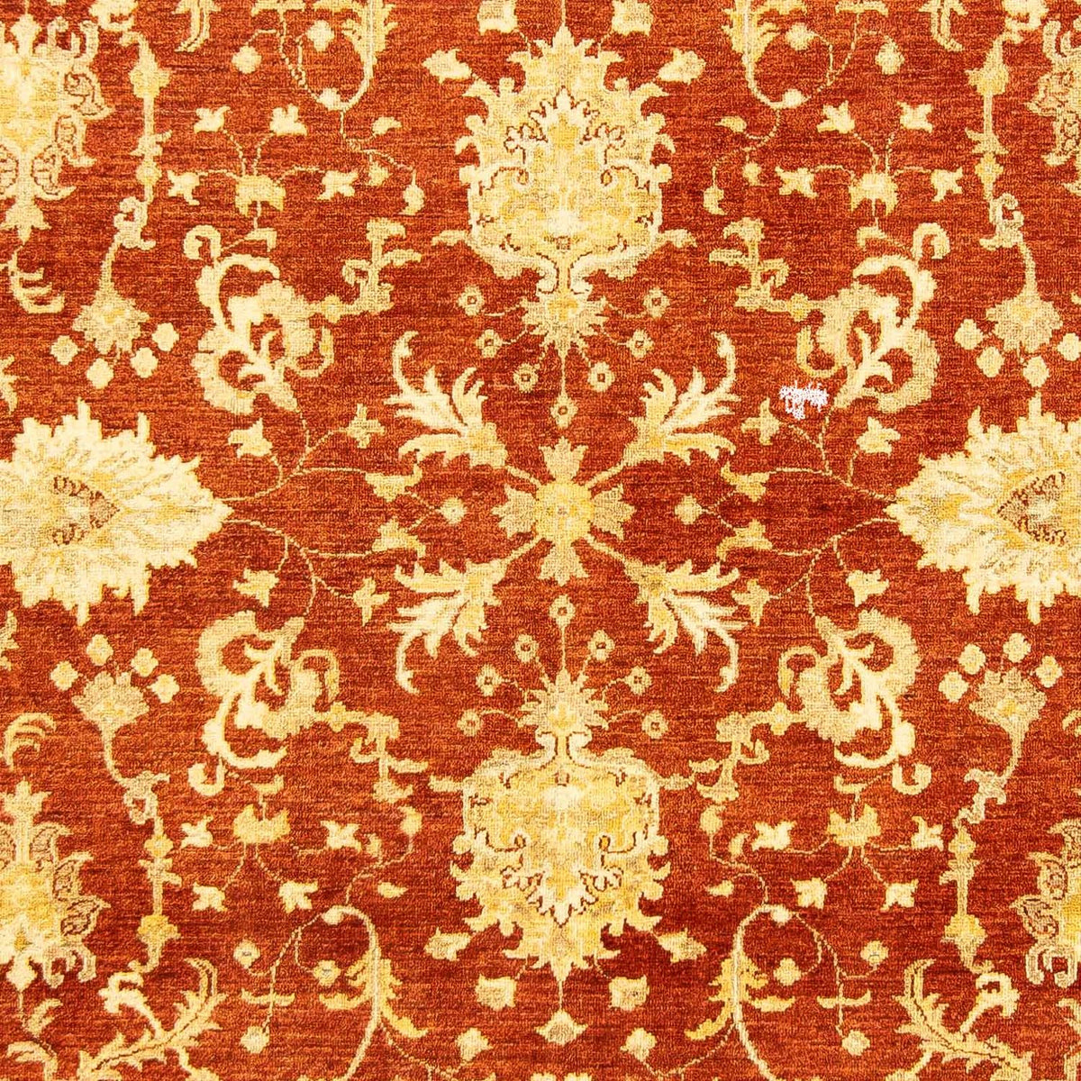 Dywan Zieglera - 251 x 198 cm - ciemna czerwień