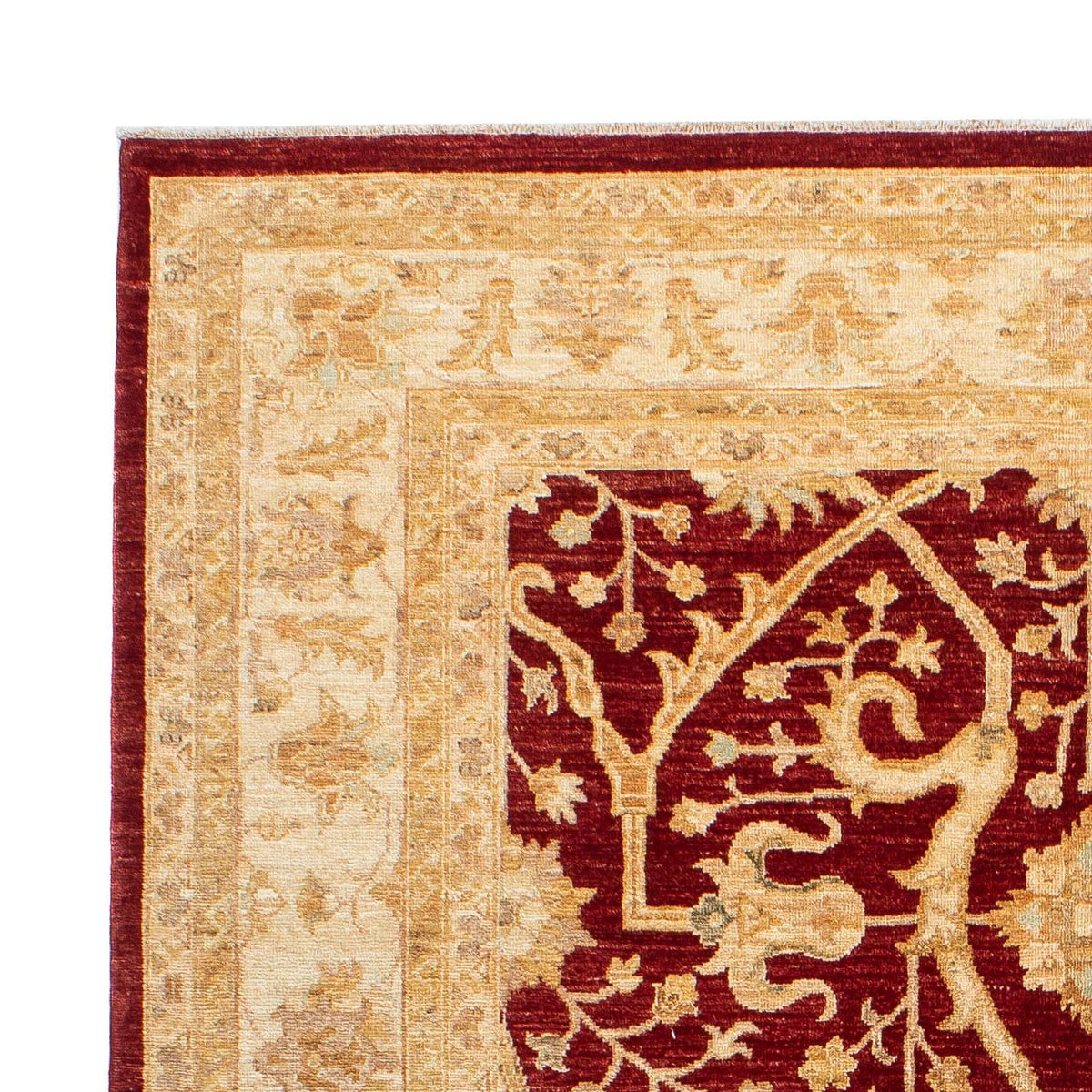 Dywan Zieglera - 247 x 172 cm - ciemna czerwień