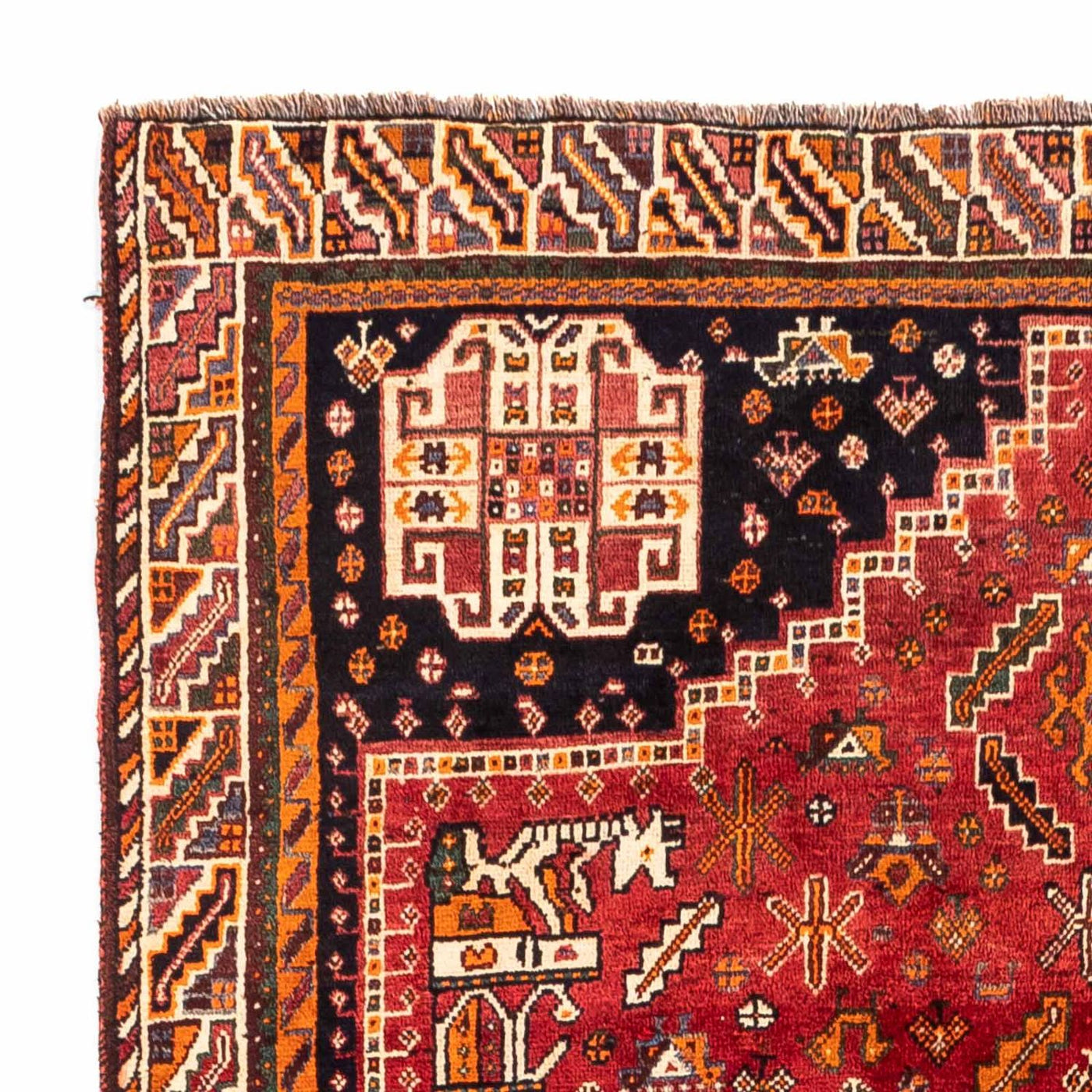 Shiraz Dywan 234x155cm - Dywan perski
