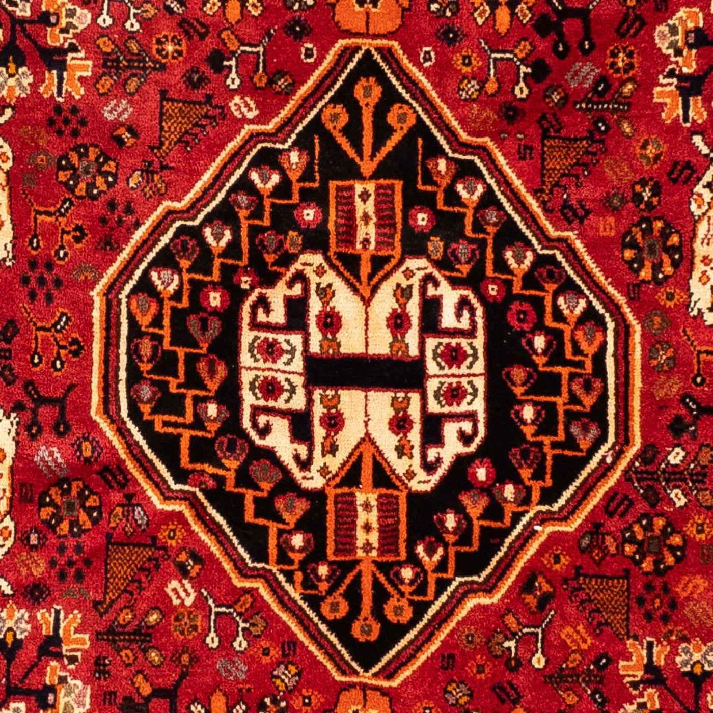 Shiraz Dywan 248x160cm - Dywan perski