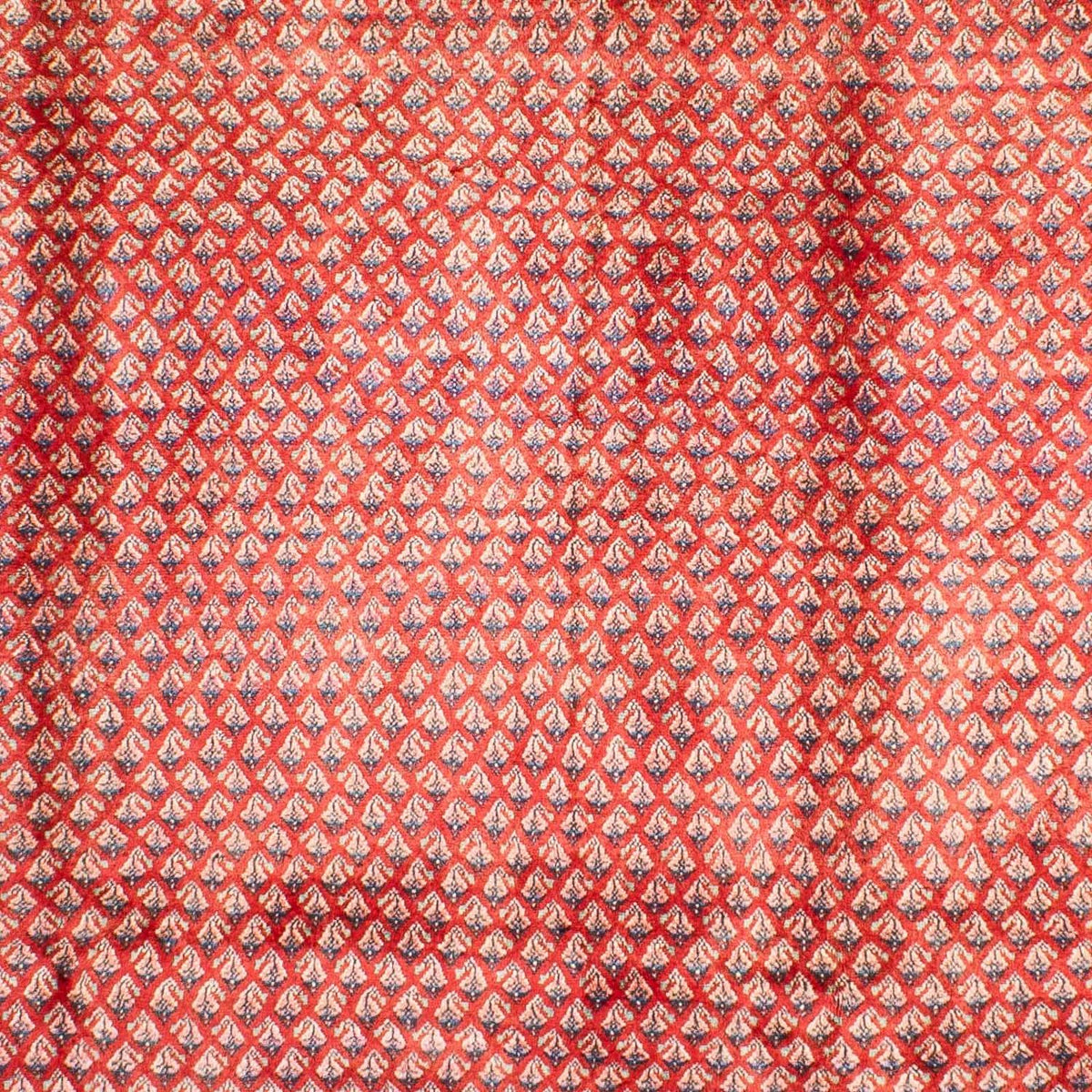 Dywan perski - Mir - 308 x 211 cm - ciemna czerwień