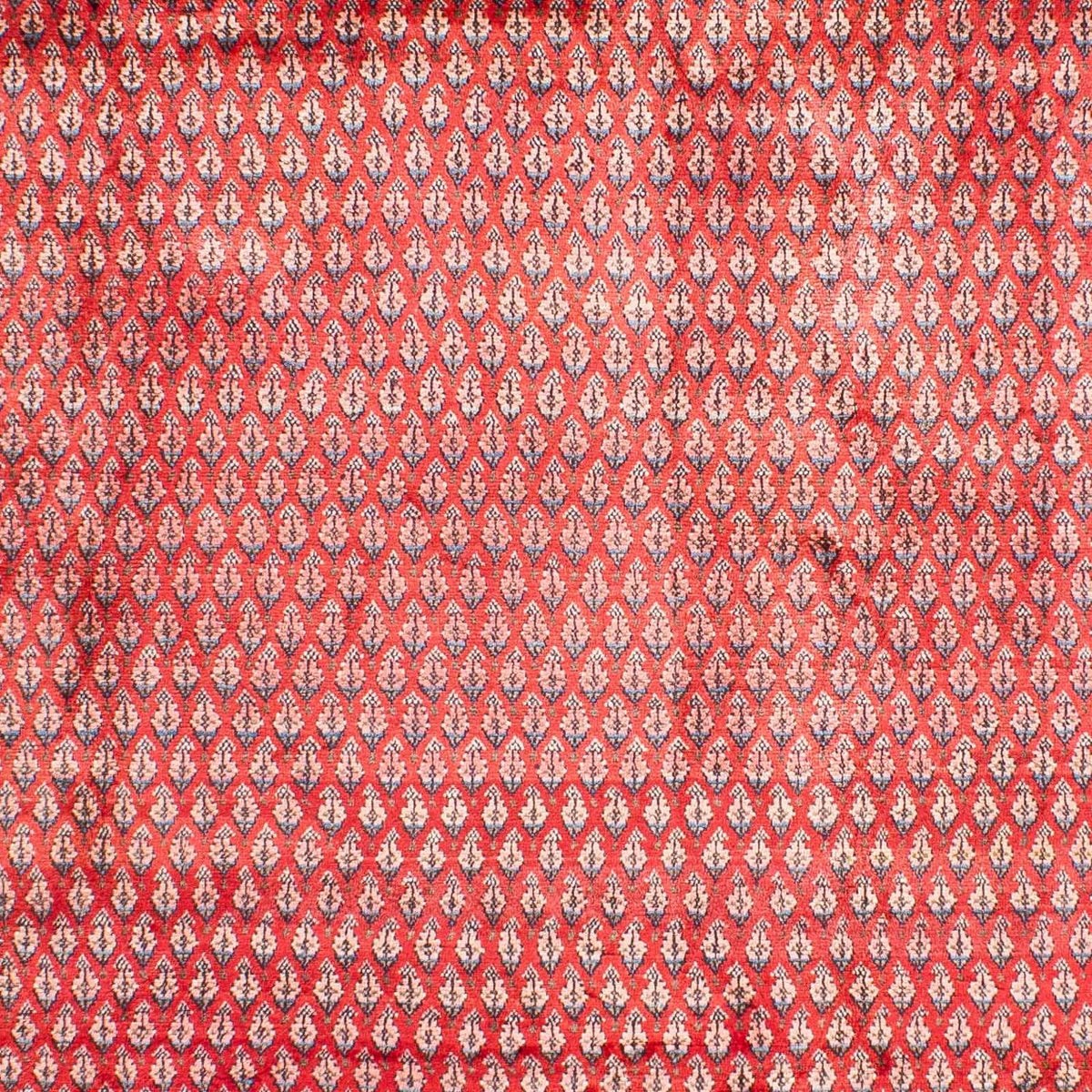 Dywan perski - Mir - 317 x 219 cm - czerwony