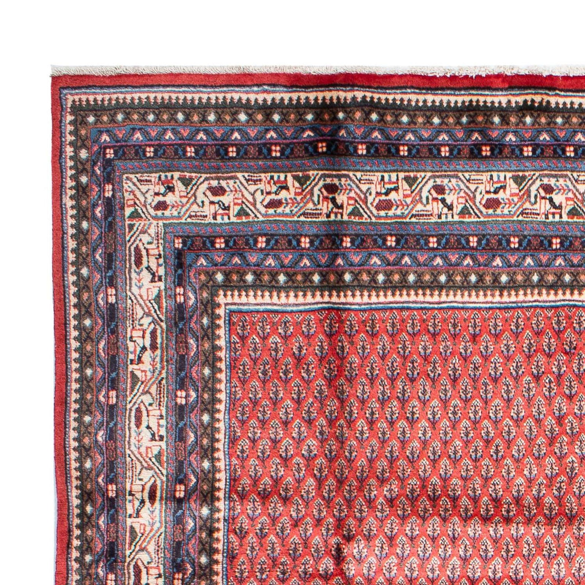 Mir Dywan 215x315cm - Dywan perski