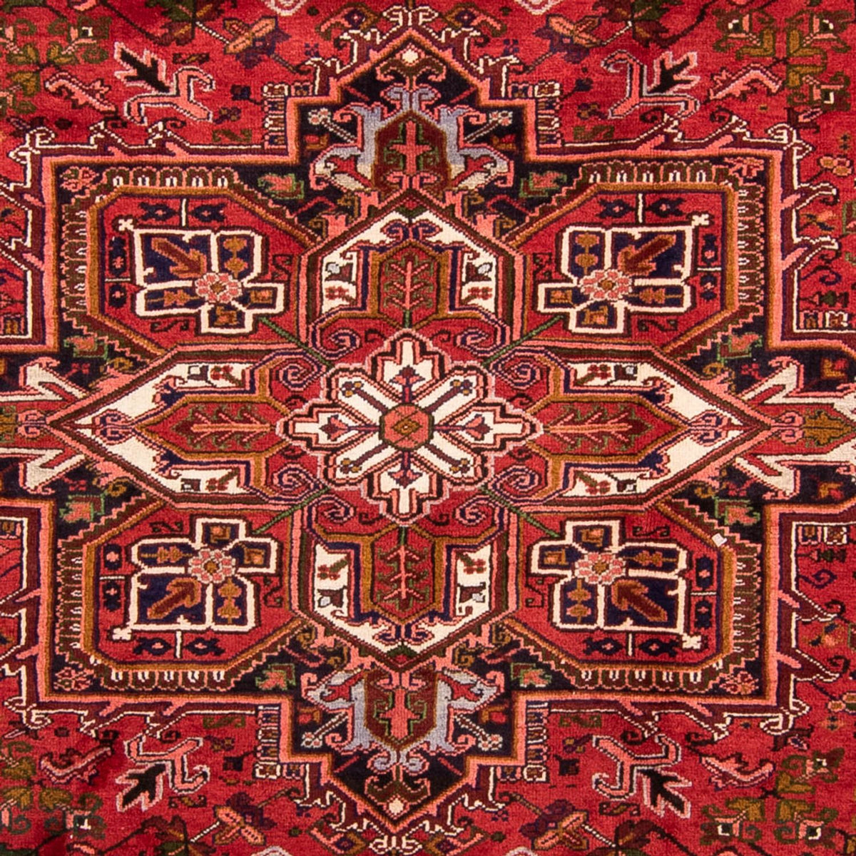 Perski dywan - Nomadyczny - 348 x 257 cm - ciemna czerwień