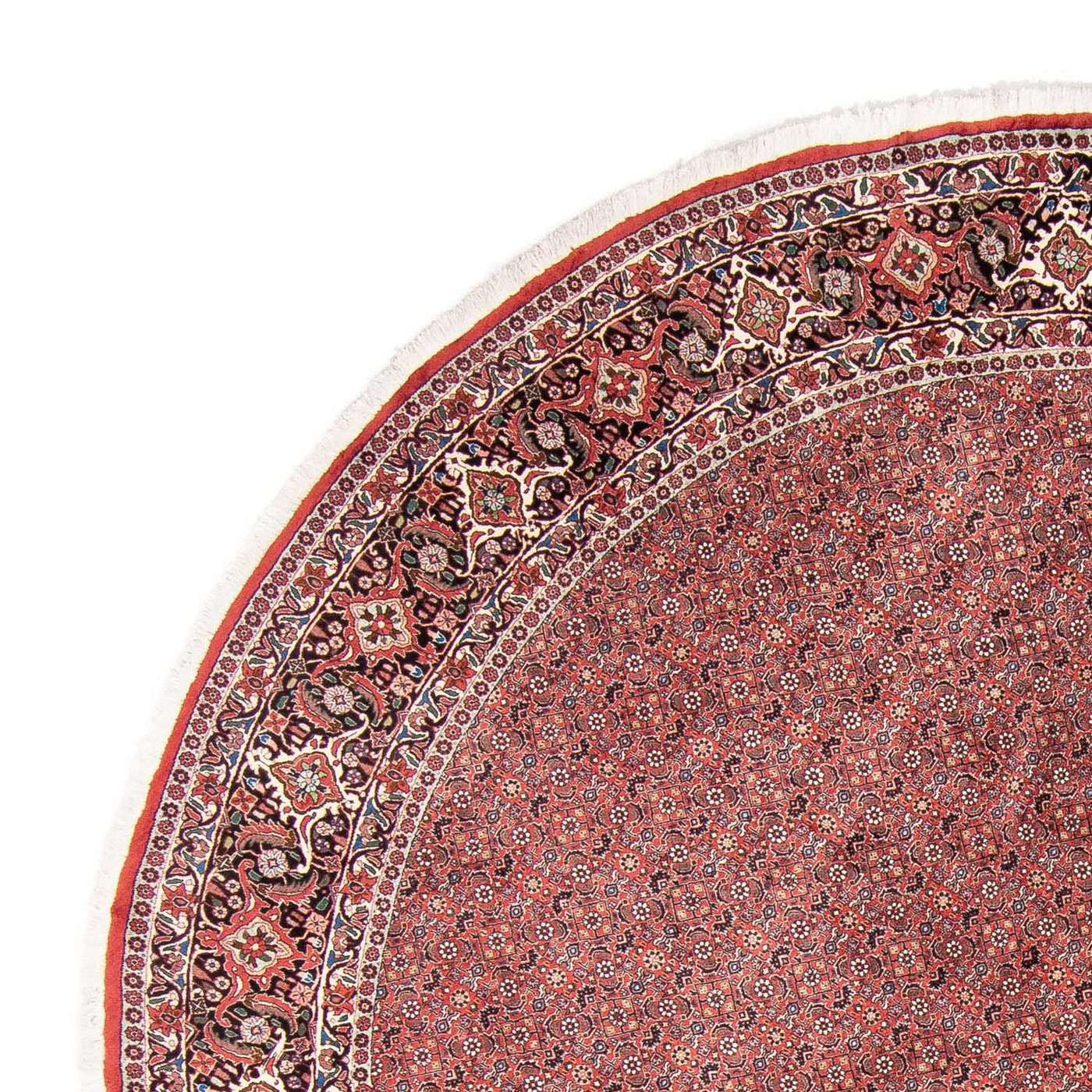 Bidjar Dywan 300x300cm - Dywan perski