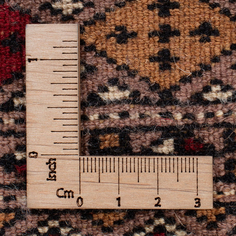 Dywan pakistański - 165 x 124 cm - ciemny beż